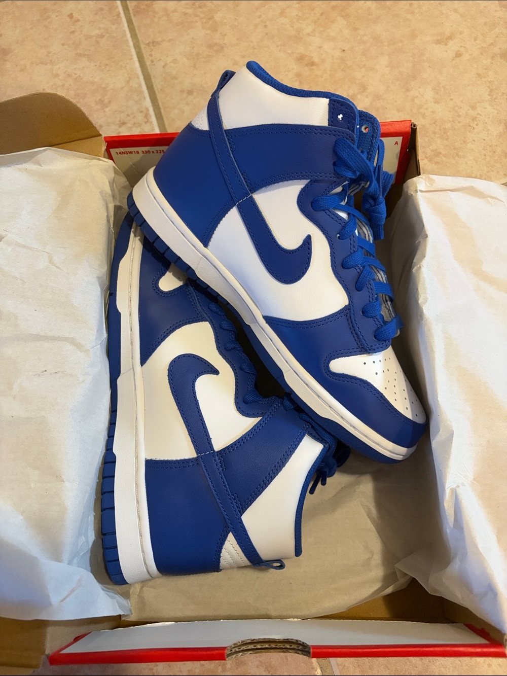Nike Dunk High